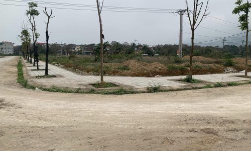Bán đất cắt lỗ  Nhân Lý – Tam quan – Vĩnh Phúc