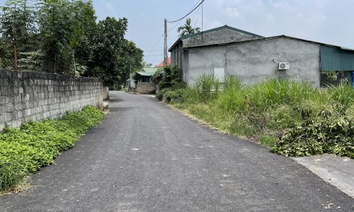 Bán đất thôn Cõi, xã Đạo Tú, huyện Tam Dương, tỉnh Vĩnh Phúc