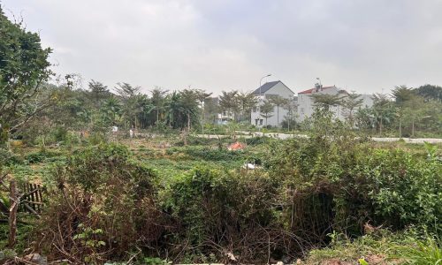 Bán 100m2 đất xen ghép Mậu Lâm, Khai Quang, Vĩnh Yên, Vĩnh Phúc