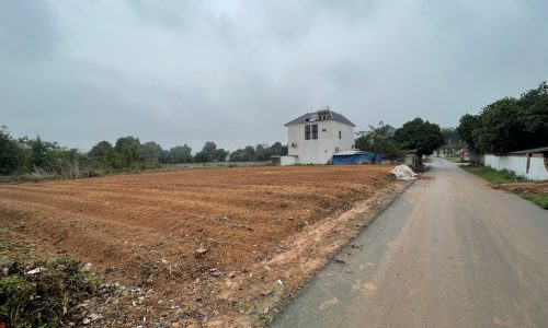 Bán 715,6m2 đất rộng tại Đạo Tú, Hướng Đạo, Tam Dương, Vĩnh Phúc