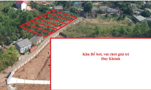 Bán đất F0 tại thị Trấn Hợp Châu – Tam Đảo – Vĩnh Phúc