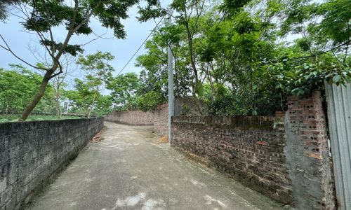 Bán ô đất 1240m2 tại Nhân Lý, Tam Quan, Tam Đảo, Vĩnh Phúc.