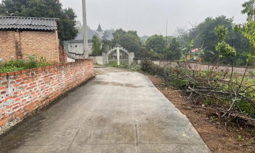 – Chính chủ mở bán lô đất F0 Tại Thanh Vân – Tam Dương – Vĩnh Phúc