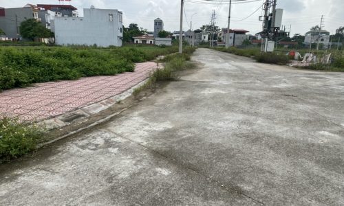 Bán đất phân lô đối diện bệnh viện sản nhi tại khu Đồng Cái Ngang, Hợp Thịnh, Tam Dương, Vĩnh Phúc