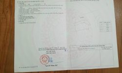 Bán lô góc tại Gò Xoan, Thanh Vân, Tam Dương, Vĩnh Phúc. DT 148m2.