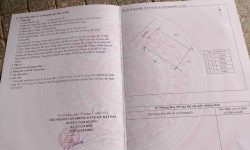 Bán đất Thanh Vân – Tam Dương gần trường Chuyên Vĩnh Phúc