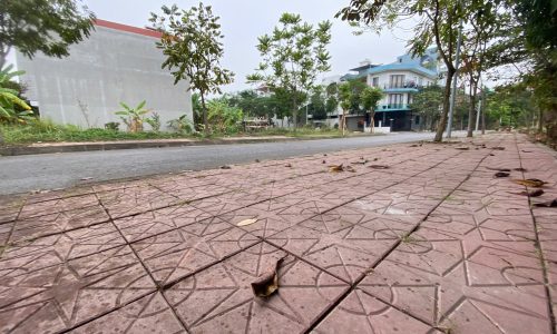 Bán đất Biệt Thự khu B Nam Đầm Vạc, Vĩnh Yên, Vĩnh Phúc