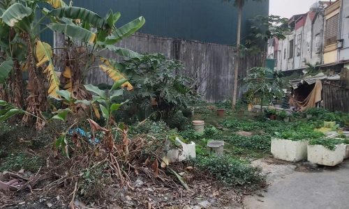 Bán ô góc khu công ty nhà máy gạch Viglacera Hợp Thịnh, phường Hội Hợp, Vĩnh Yên