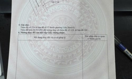 113m2 phố Đoàn Thị Điểm – Liên Bảo – Vĩnh Yên
