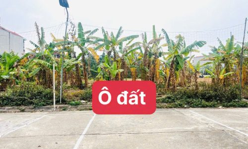 Bán U19 May Mặc, Kim Long, Tam Dương