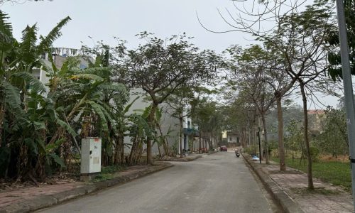 Bán 171m2 mặt tiền 8m nở hậu hơn 13m hướng Đông mát mẻ
