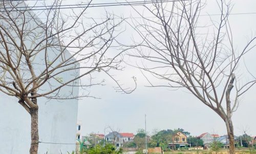Bán đất đường 19,5m gần cầu Lính, Lai Sơn, Đồng Tâm, Vĩnh Yên