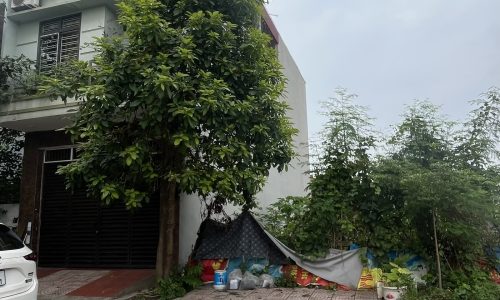 BÁN ĐẤT XEN GHÉP TRẠI GIAO- KHAI QUANG- VĨNH YÊN