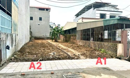 Bán đất View vườn hoa phân lô Đồng Hin, Lai Sơn Đồng Tâm, Vĩnh Yên