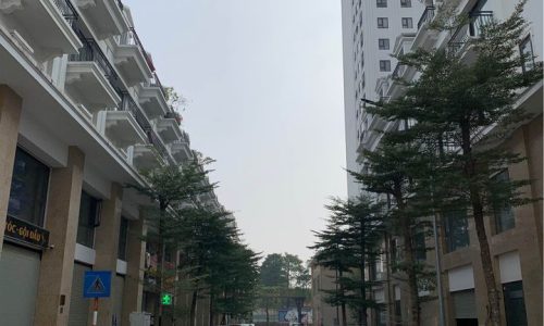 Bán căn góc kinh doanh cực đẹp trong khu đô thị The City Light, Khai Quang, Vĩnh Yên.