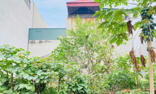 Bán đất TDP Hán Lữ, Khai quang, Vĩnh Yên. DT 82,2m2 xây nhà đẹp