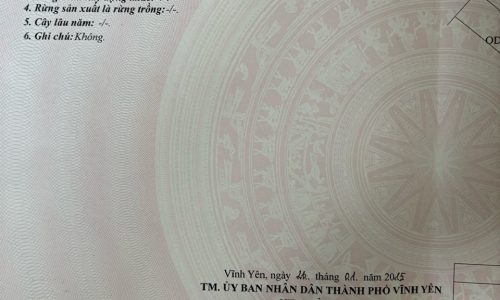 Cần bán đất do tỉnh đội Vĩnh Phúc cấp