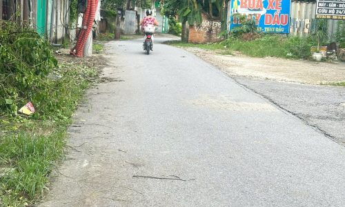 Bán đất mặt đường Lê Chân kéo dài, Thanh Giã, Vĩnh Yên, Vĩnh Phúc. Dt 220m2