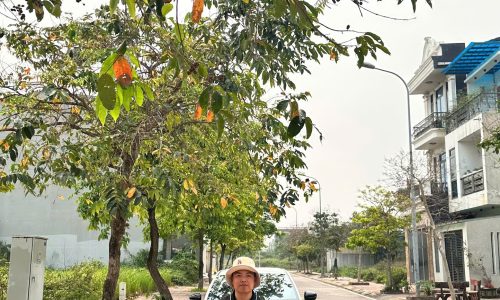 Đất nền KĐT Nam Vĩnh Yên, Cơ hội đầu tư từ DIC!