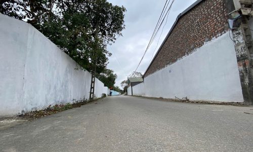 Chính chủ bán đất tại Xuân Mới, Thanh Vân, Tam Dương, Vĩnh Phúc