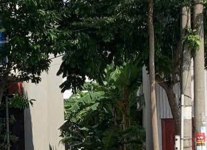 Bán 84,5m2 đất kinh doanh mặt đường Nguyễn Lương Bằng, Thanh Trù, Vĩnh Yên