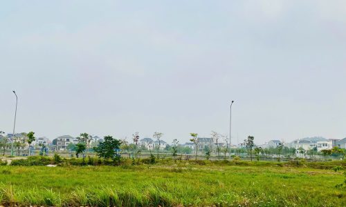 Bán ô đất biệt thự trung tâm khu đô thị Nam Vĩnh Yên, Vĩnh Yên, Vĩnh Phúc.