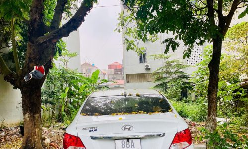 Bán đất mặt đường Lê Quý Đôn, Liên Bảo, Vĩnh yên, Vĩnh Phúc. DT 115m2 giá chỉ 5.6 tỷ