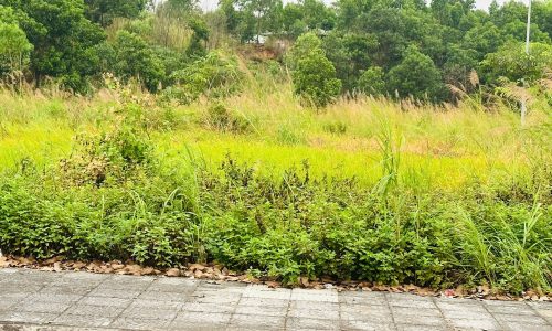 Bán đất nền Biệt thự song lập tại Vĩnh Yên, DT 150m2, Giá 27tr/m2