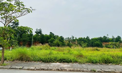 Bán đất biệt thự song lập tại KĐT Park Hill Thành Công Vĩnh Phúc