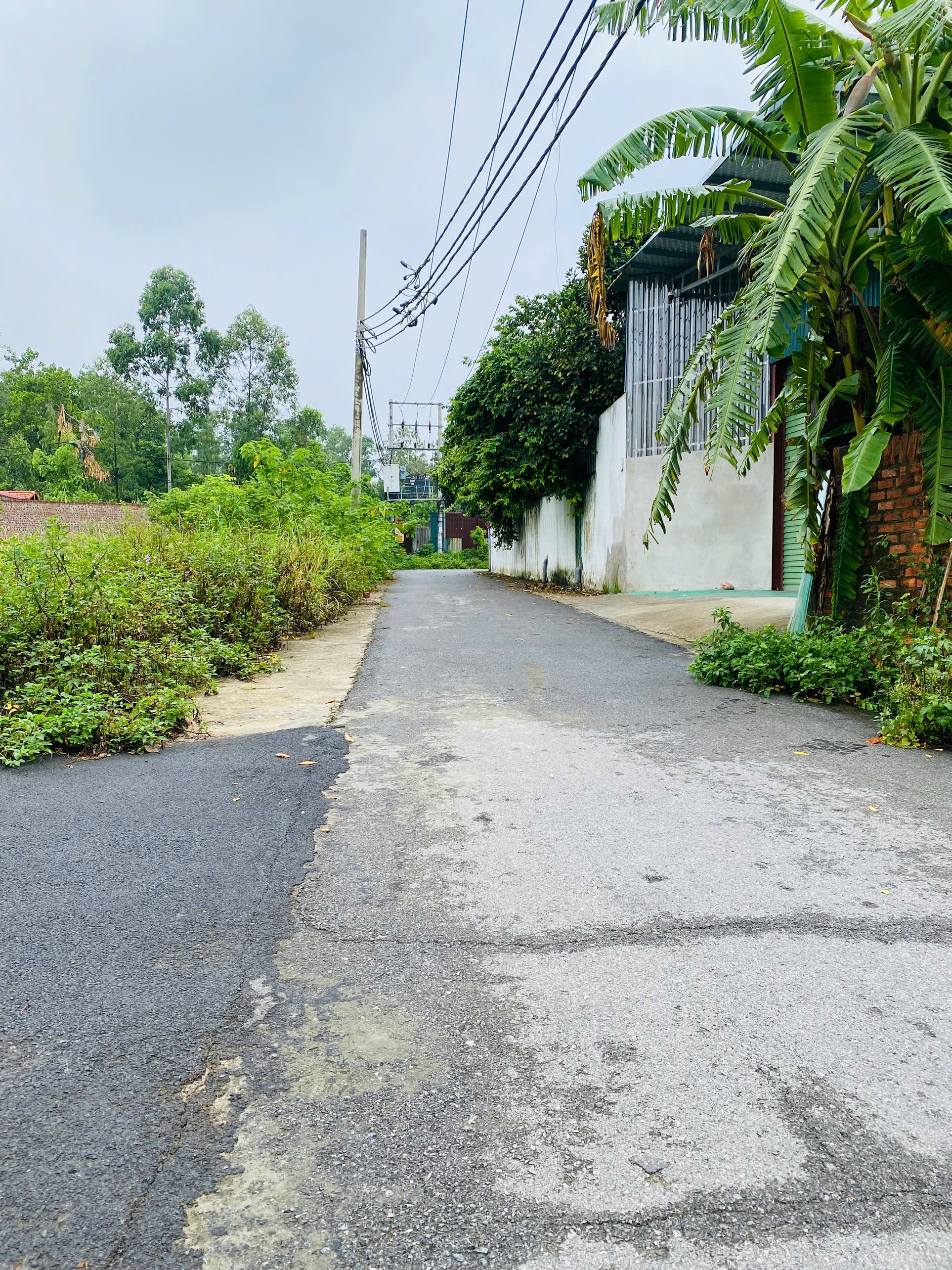 Bán đất trung tâm Liên Bảo, Vĩnh Yên, Vĩnh Phúc
