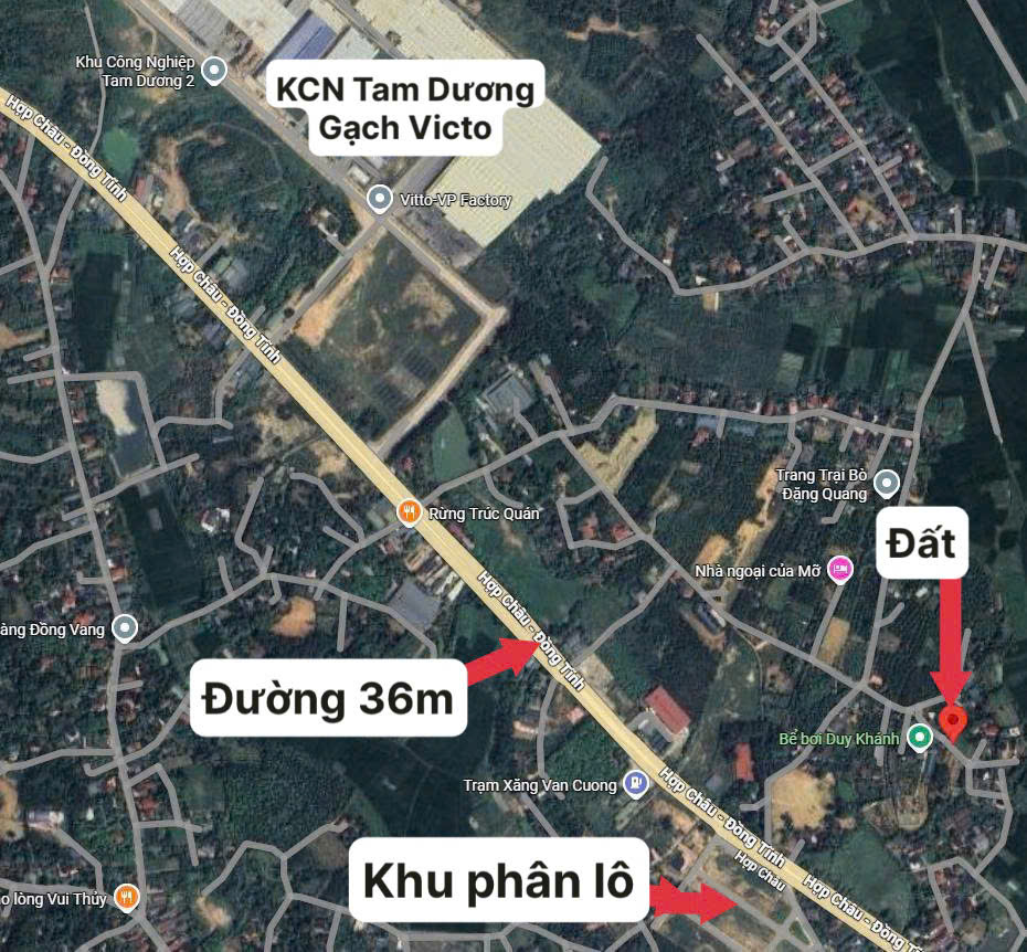 Bán đất cạnh Khu Công Nghiệp Tam Dương, Vĩnh Phúc
